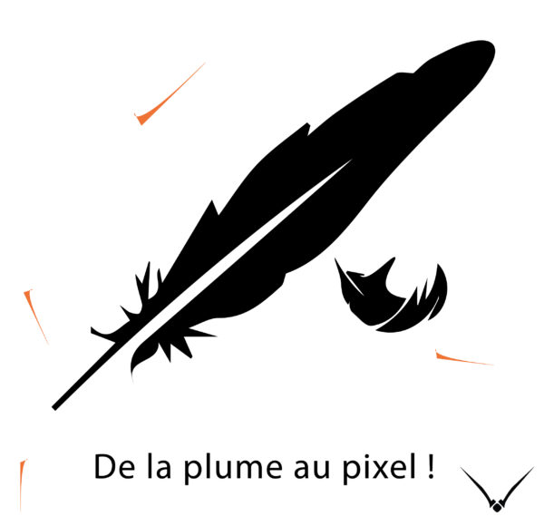 Création de Logo